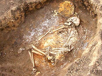 На черепе этого скелета прекрасно видны красные круги. Перед смертью с мужчины явно сняли скальп
