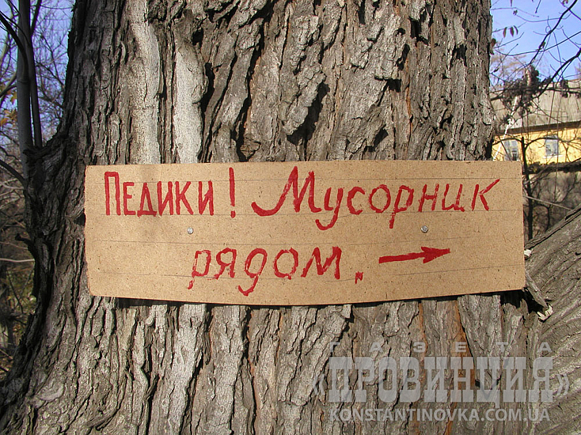 Экологическое сознание граждан растет 