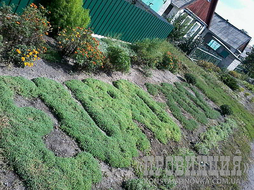 Евро - 2012 на периферии