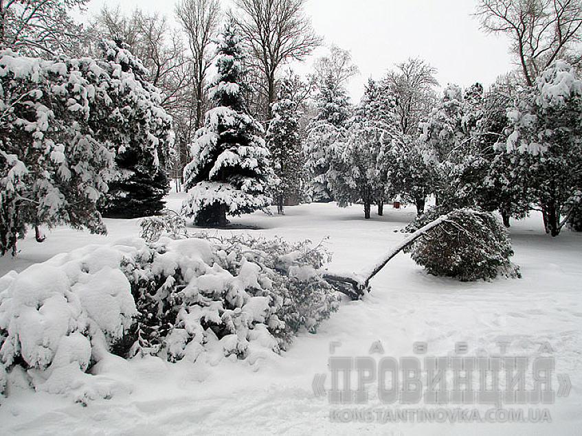 Снегопад ломает деревья