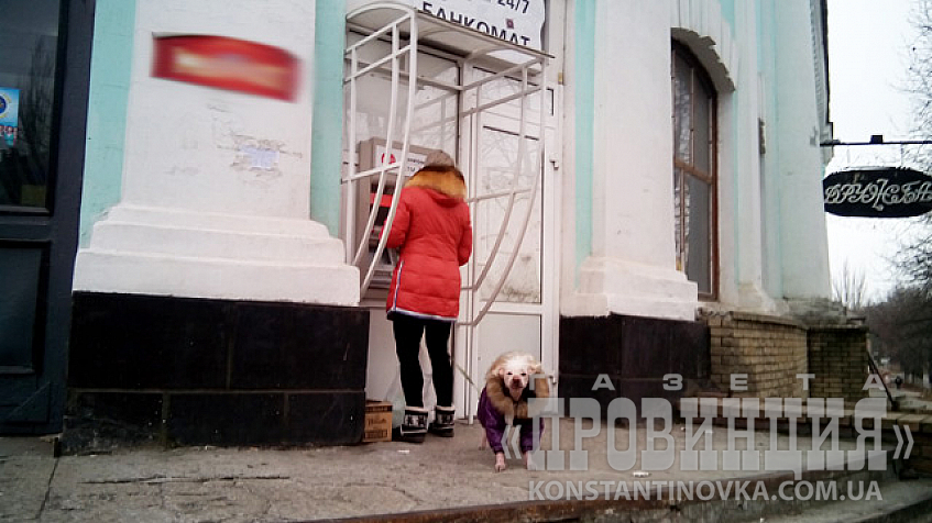 Что смотришь, собак в куртках не видел?