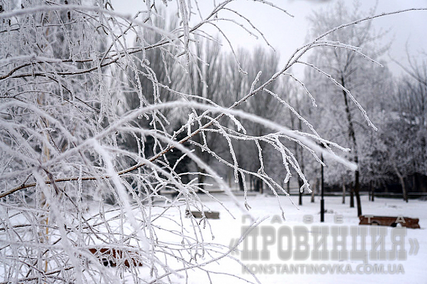і олімпійське торжество берез,