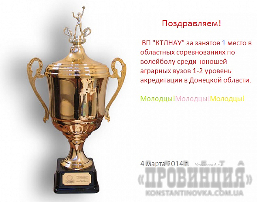 Волейбол в Константиновке