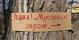 Экологическое сознание граждан растет 