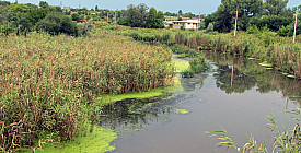 "Грязь несет с конца в конец..."
