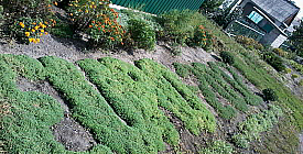 Евро - 2012 на периферии