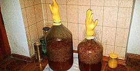 Рейтинг ПП перед выборами 2012