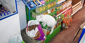 Таити, Таити, не были мы ни в какой Таити, нас и здесь неплохо кормят...