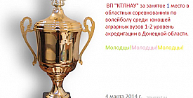 Волейбол в Константиновке