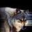 Profile picture for user Piligrim