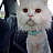 Profile picture for user natalka poltavka