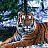 Profile picture for user менеджер