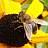 Profile picture for user Спутник