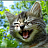 Profile picture for user Светланка